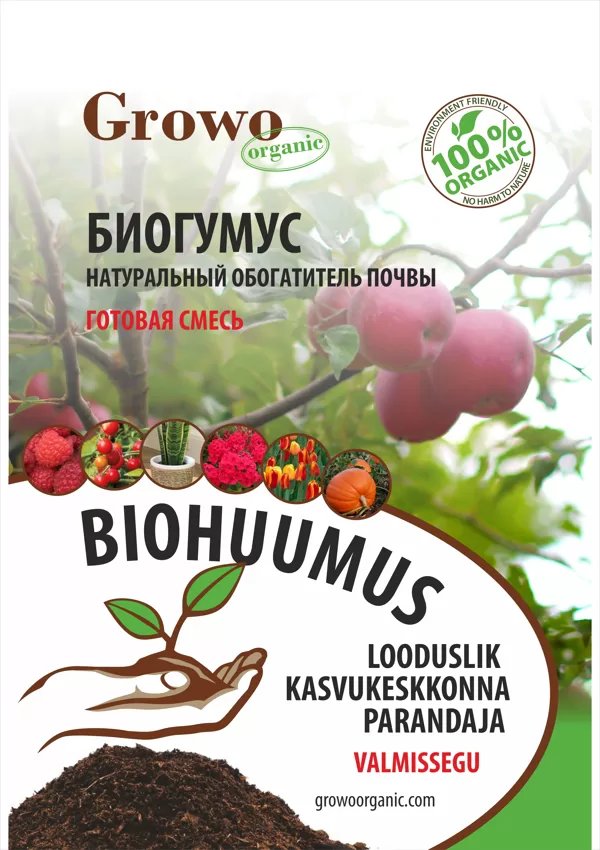 Iepakojuma dizains